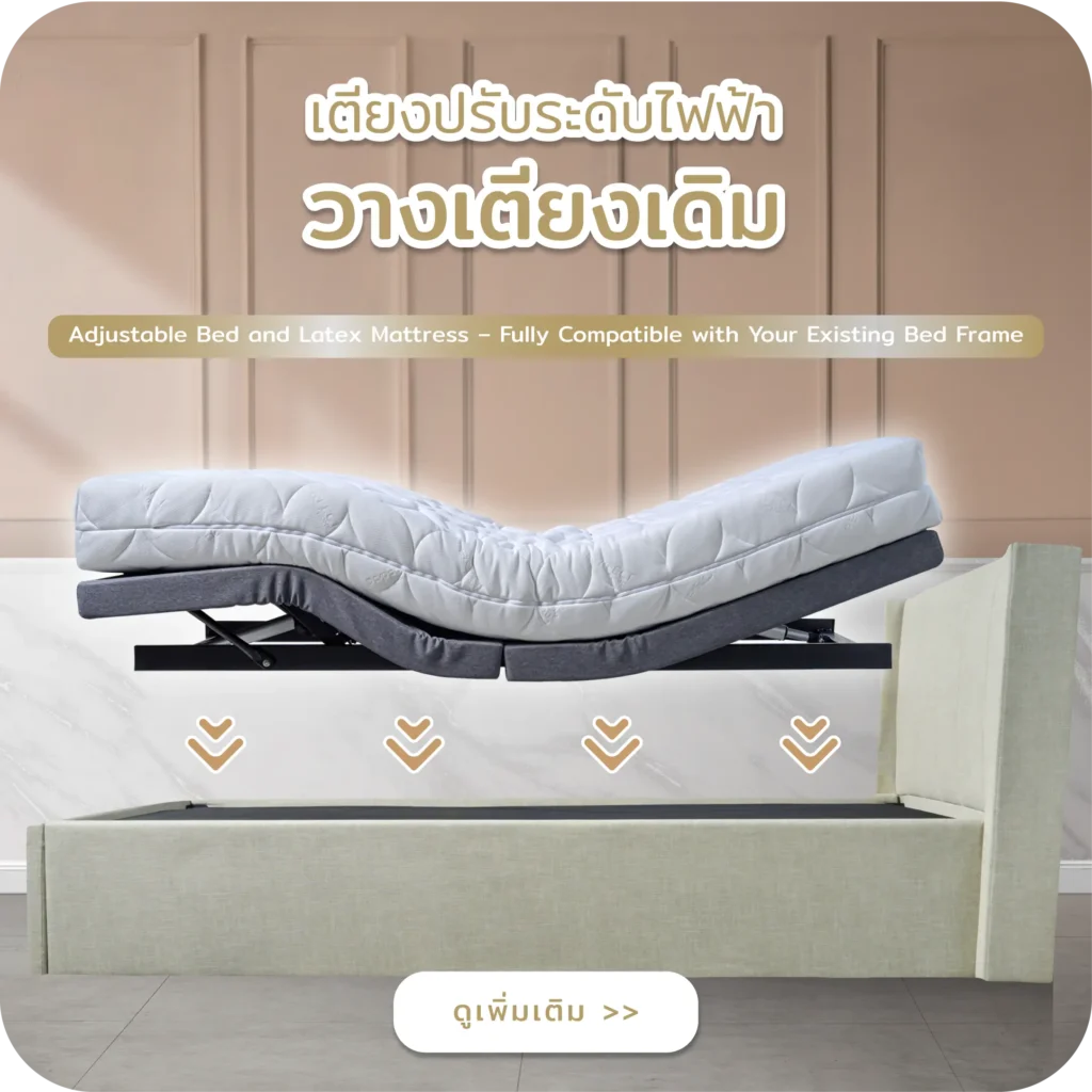 เตียงปรับระดับไฟฟ้าวางเตียงเดิม เตียงปรับระดับไฟฟ้า เตียงไฟฟ้า เตียงผู้สูงอายุ