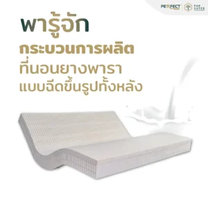 วิธีผลิตที่นอนยางพารา